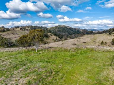 Farm Sold - NSW - Bannaby - 2580 - 45 ACRES, ZONED RU2, RURAL RETREAT, GRAZING AND LIFESTYLE OPPORTUNITY, OPPORTUNITY KNOCKS ONCE.  (Image 2)