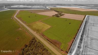 Farm Sold - NSW - Myall Park - 2681 - " THORNWYRAN" - BROAD ACRE & IRRIGATION PROPERTY  (Image 2)