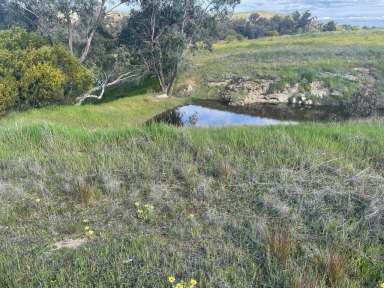 Farm Sold - WA - Beverley - 6304 - Lot 912 York-Williams Rd, Beverley  (Image 2)