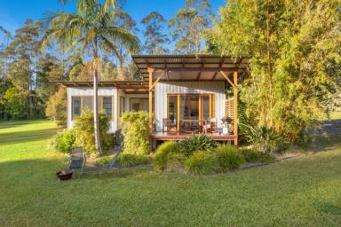 Farm Sold - NSW - Bellingen - 2454 - 'Aniseed' - Rare Offering Located In The Tightly Held 'Promised Land'  (Image 2)