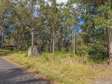 Farm Sold - NSW - Surfside - 2536 - The Outlook Surfside  (Image 2)