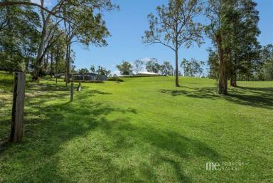 Farm Sold - QLD - Ocean View - 4521 - Simply Stunning 5 Acre Immaculate Family Home With Granny Flat  (Image 2)
