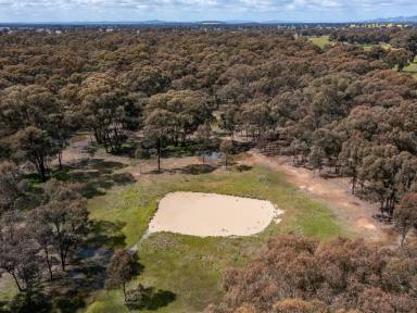 Farm Sold - VIC - Carlyle - 3685 - "Yarrabee"  (Image 2)