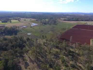 Farm Sold - NSW - Ellangowan - 2470 - 'RED HILL' - 521 ACRES - ELLANGOWAN  (Image 2)