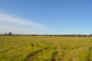 Farm Sold - NSW - Temora - 2666 - Petite Lease Parcel, Perfect for Stock  (Image 2)