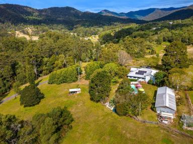 Farm Sold - QLD - Austinville - 4213 - WHAT a FIND - First time in 30+ YEARS!  (Image 2)