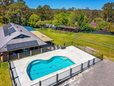 Farm Sold - QLD - Tallai - 4213 - Rare Flat Acreage in Tallai  (Image 2)