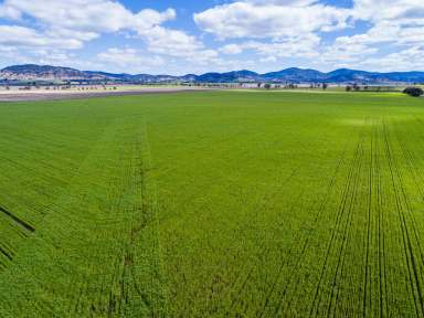 Farm Sold - NSW - Tamworth - 2340 - "Glenbar" Quality Cropping or Grazing Block  (Image 2)