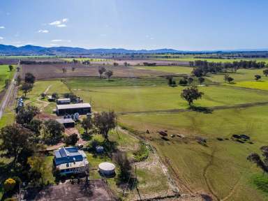 Farm Sold - NSW - Tamworth - 2340 - "Calluna" Outstanding Mixed Farming Block  (Image 2)