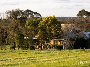 Farm For Sale - NSW - Pokolbin - 2320 - SILVERPOINT ESTATE - A FIRST CLASS ADDRESS  (Image 2)