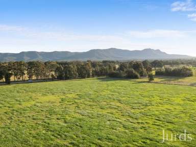 Farm For Sale - NSW - Pokolbin - 2320 - SILVERPOINT ESTATE - A FIRST CLASS ADDRESS  (Image 2)