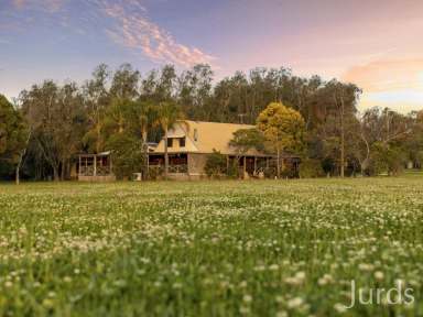 Farm For Sale - NSW - Pokolbin - 2320 - SILVERPOINT ESTATE - A FIRST CLASS ADDRESS  (Image 2)