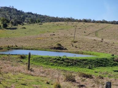 Farm Sold - QLD - Anduramba - 4355 - Picturesque 588 acre block with great views, 9 dams, a well and a bore.  (Image 2)