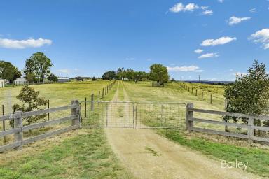 Farm Sold - NSW - Singleton - 2330 - SMALL RURAL ACREAGE WITH TOWN WATER  (Image 2)