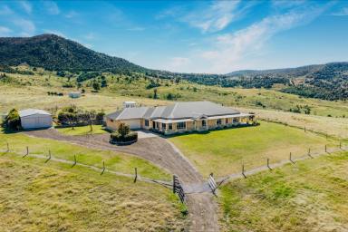 Farm Sold - QLD - Yangan - 4371 - 3 Outstanding Lifestyle Opportunities on Offer - Nothing Else Compares!  (Image 2)