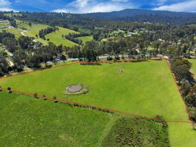 Farm For Sale - VIC - Sarsfield - 3875 - FANTASTIC LIFESTYLE BLOCK OF 9.3 ACRES  (Image 2)