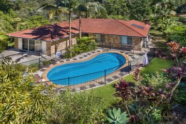 Farm Sold - QLD - Montville - 4560 - Acreage with Lifestyle Plus!!!  Room for Horses, Home Business, Kids, Trucks ... Space and Privacy  (Image 2)