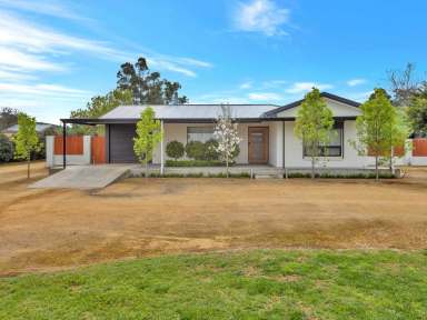 Farm Sold - SA - Angaston - 5353 - Stylishly renovated - an entertainers delight…..  (Image 2)