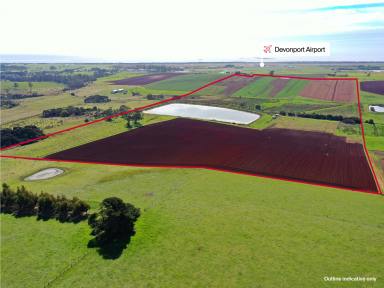 Farm Sold - TAS - Wesley Vale - 7307 - Prime Agricultural Land, convenient to Devonport  (Image 2)