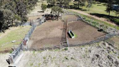 Farm Sold - QLD - Maclagan - 4352 - PICTURESQUE CATTLE GRAZING  (Image 2)