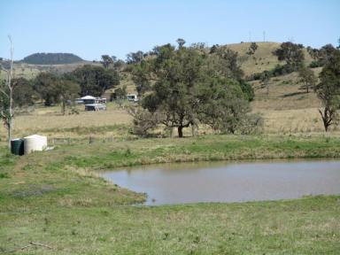 Farm Sold - QLD - Maclagan - 4352 - PICTURESQUE CATTLE GRAZING  (Image 2)