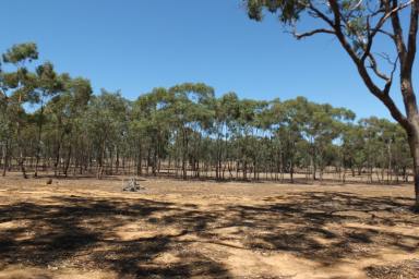 Farm Sold - VIC - Lamplough - 3352 - 19 ACRES (approx) ON  SUNRAYSIA HWY - LIFESTYLE  (Image 2)