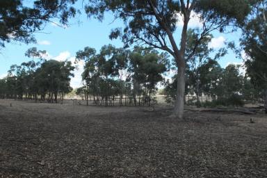 Farm Sold - VIC - Lamplough - 3352 - 19 ACRES (approx) ON  SUNRAYSIA HWY - LIFESTYLE  (Image 2)