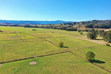 Farm Sold - NSW - Kyogle - 2474 - 335 ACRES - 150 BREEDER CAPACITY  (Image 2)