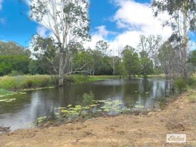Farm Sold - QLD - Woocoo - 4620 - PICTURESQUE 1,500 ACRE LIFESTYLE HOMESTEAD!  (Image 2)