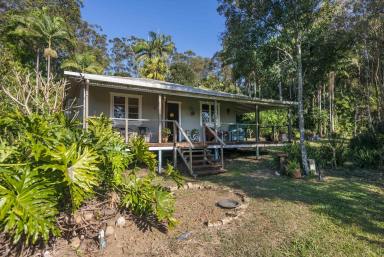 Farm Sold - NSW - Nimbin - 2480 - Gorgeous Art Deco Style Stacked with Lifestyle Advantages Plus Views  (Image 2)