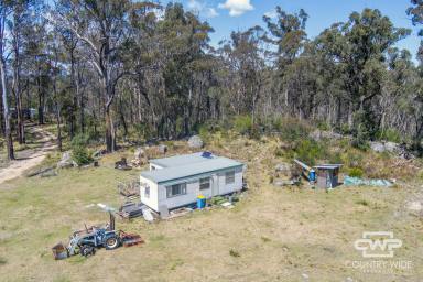 Farm Sold - NSW - Mount Mitchell - 2365 - The Peaceful Life  (Image 2)
