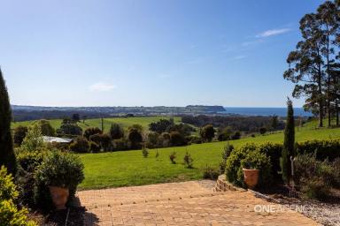 Farm For Sale - TAS - Mount Hicks - 7325 - Oh What A View! Stunning Location!  (Image 2)