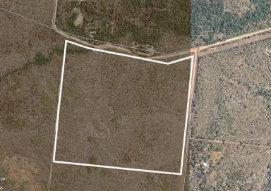 Farm Sold - QLD - Cooktown - 4895 - 80 acres of natural bushland with a seasonal creek  (Image 2)