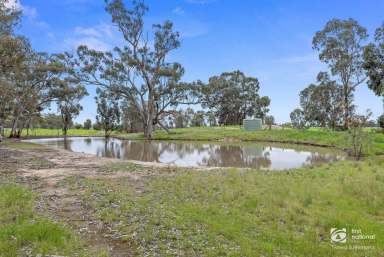 Farm Sold - VIC - Goornong - 3557 - Auction Estate finalisation 60 Acres - Quality Grazing  (Image 2)