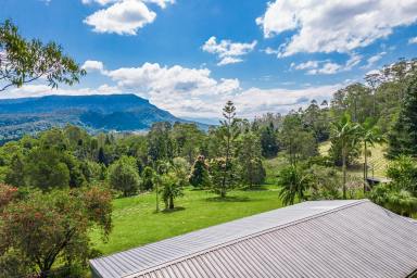 Farm Sold - NSW - Wadeville - 2474 - MOUNTAIN HIGH VIEWS!  (Image 2)