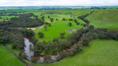 Farm For Sale - VIC - Sandford - 3312 - "Darley" Sandford - Great Balance of Country  (Image 2)