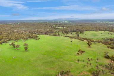 Farm For Sale - VIC - Balmoral - 3407 - Blank Canvas Opportunity - Grazing | Lifestyle  (Image 2)