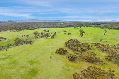 Farm For Sale - VIC - Balmoral - 3407 - Blank Canvas Opportunity - Grazing | Lifestyle  (Image 2)