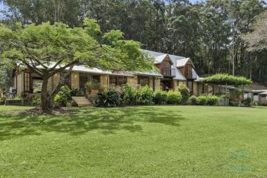 Farm Sold - QLD - Mount Mellum - 4550 - SOLD BY BRANT AND BERNHARDT PROPERTY!  (Image 2)