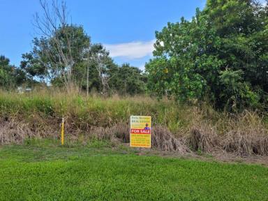 Farm Sold - QLD - Ingham - 4850 - 4.02 HA. (JUST UNDER 10 ACRES) ON OUTSKIRTS OF TOWN!  (Image 2)