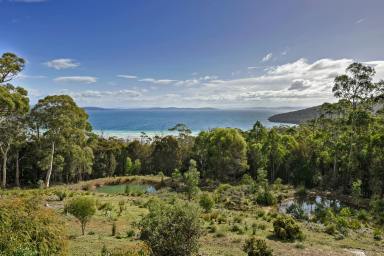 Farm For Sale - TAS - Taranna - 7180 - Spectacular water views on acreage offering lifestyle and income and so much more.  (Image 2)