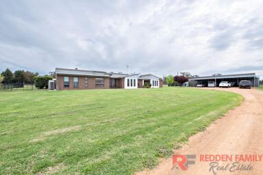 Farm Sold - NSW - Dubbo - 2830 - An Exciting Family Lifestyle Package !  (Image 2)