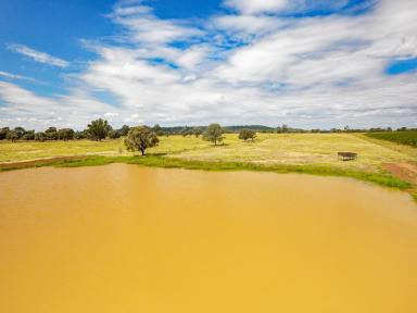 Farm Sold - QLD - Orange Creek - 4715 - Enjoy Peace, Tranquillity and a Country Lifestyle  (Image 2)