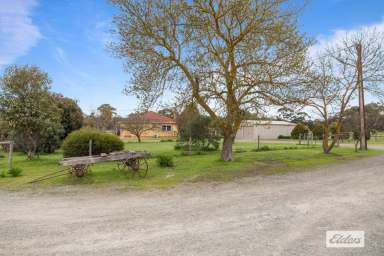 Farm Sold - SA - Nuriootpa - 5355 - Barossa Land Bank Opportunity!  (Image 2)