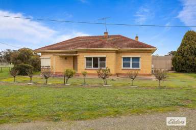 Farm Sold - SA - Nuriootpa - 5355 - Barossa Land Bank Opportunity!  (Image 2)