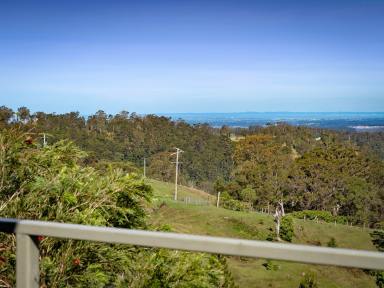 Farm Sold - QLD - Mount Mee - 4521 - First time to the market and on 16 Hectares of Grazing  (Image 2)