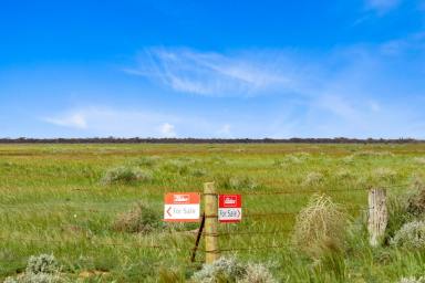 Farm Sold - SA - Steinfeld - 5356 - Grazing or lifestyle block  (Image 2)