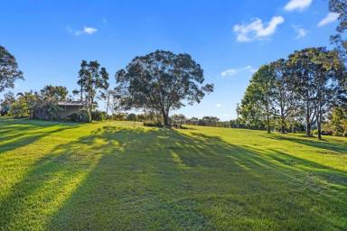 Farm Sold - QLD - Southside - 4570 - SOUTHSIDE SERENITY  (Image 2)