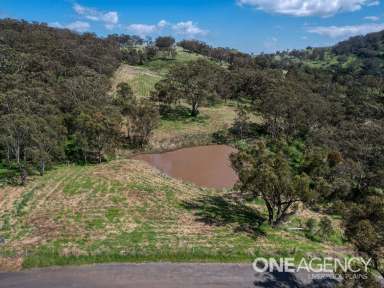 Farm Sold - NSW - Ardglen - 2338 - 5 ACRES PLUS VIEWS!  (Image 2)