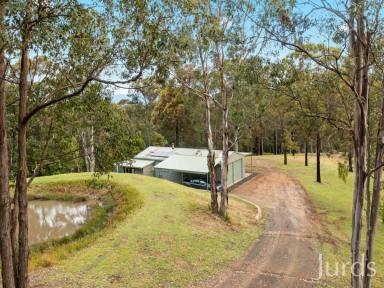 Farm Sold - NSW - Millfield - 2325 - MOUNTAIN MAGIC  (Image 2)